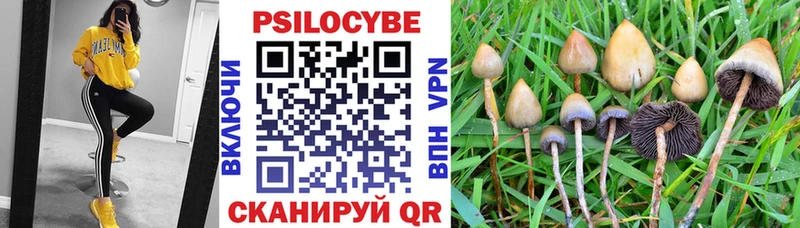 Галлюциногенные грибы Psilocybe  ссылка на мегу зеркало  Кудымкар 